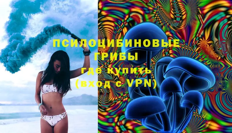 маркетплейс официальный сайт  Анапа  Псилоцибиновые грибы Magic Shrooms  купить   omg tor 